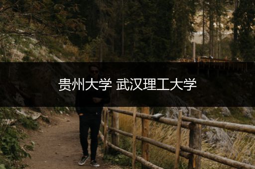 贵州大学 武汉理工大学