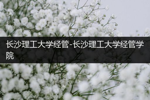 长沙理工大学经管-长沙理工大学经管学院
