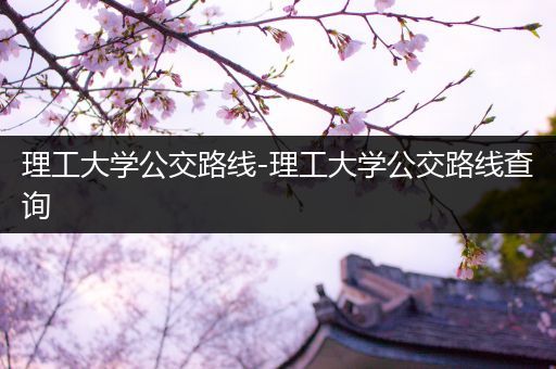 理工大学公交路线-理工大学公交路线查询