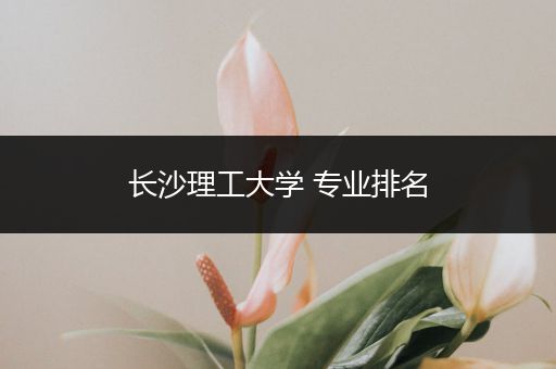 长沙理工大学 专业排名