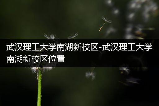 武汉理工大学南湖新校区-武汉理工大学南湖新校区位置