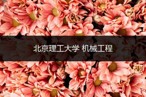 北京理工大学 机械工程