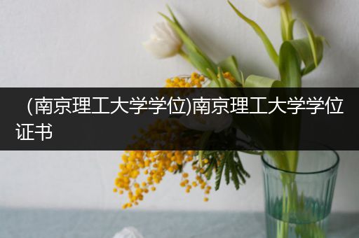 （南京理工大学学位)南京理工大学学位证书