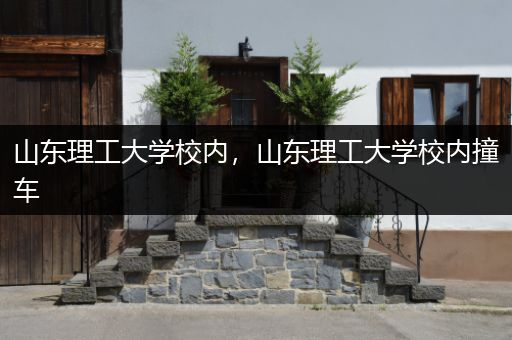 山东理工大学校内，山东理工大学校内撞车