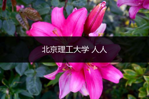 北京理工大学 人人