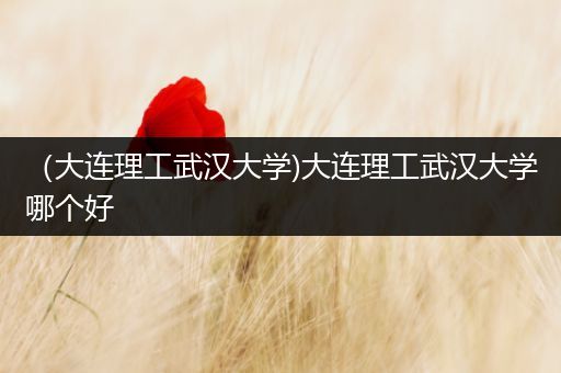 （大连理工武汉大学)大连理工武汉大学哪个好