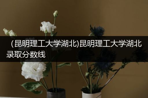 （昆明理工大学湖北)昆明理工大学湖北录取分数线