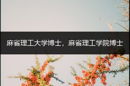 麻省理工大学博士，麻省理工学院博士