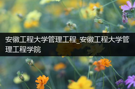 安徽工程大学管理工程_安徽工程大学管理工程学院