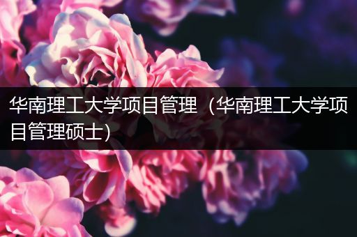华南理工大学项目管理（华南理工大学项目管理硕士）