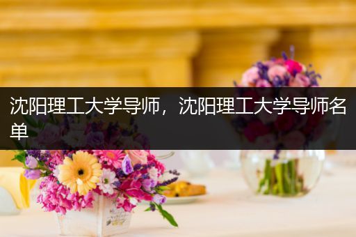 沈阳理工大学导师，沈阳理工大学导师名单