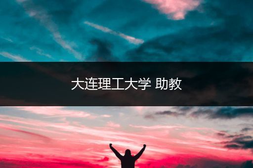 大连理工大学 助教