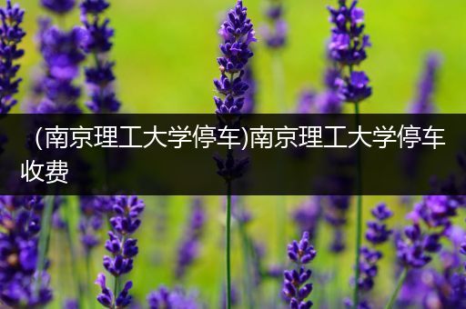 （南京理工大学停车)南京理工大学停车收费