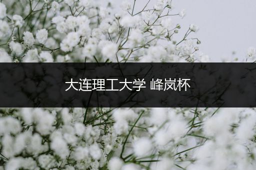 大连理工大学 峰岚杯
