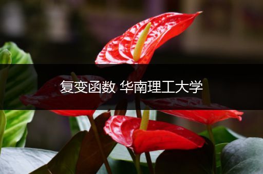 复变函数 华南理工大学