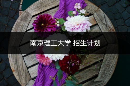 南京理工大学 招生计划