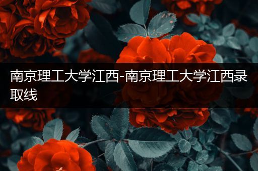 南京理工大学江西-南京理工大学江西录取线