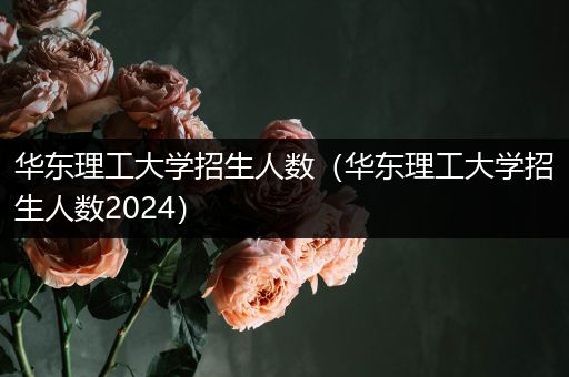 华东理工大学招生人数（华东理工大学招生人数2024）