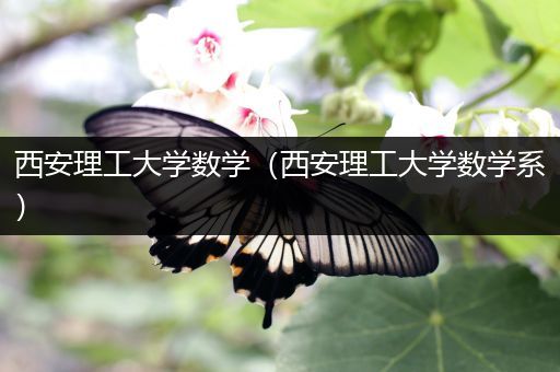 西安理工大学数学（西安理工大学数学系）