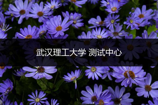 武汉理工大学 测试中心