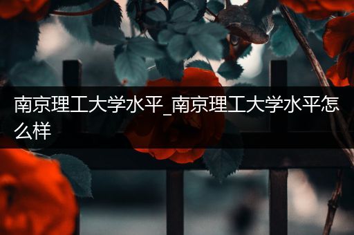 南京理工大学水平_南京理工大学水平怎么样
