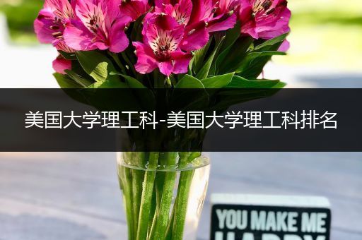 美国大学理工科-美国大学理工科排名