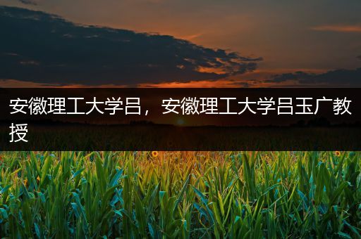 安徽理工大学吕，安徽理工大学吕玉广教授
