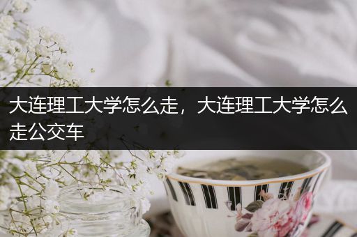 大连理工大学怎么走，大连理工大学怎么走公交车
