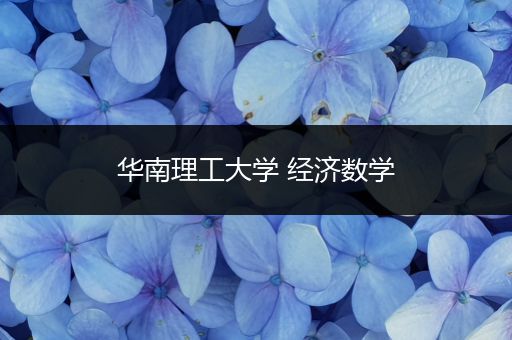 华南理工大学 经济数学
