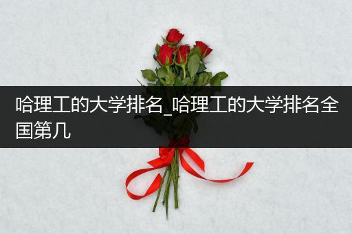 哈理工的大学排名_哈理工的大学排名全国第几