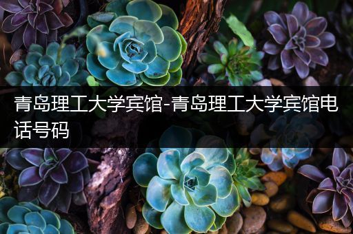 青岛理工大学宾馆-青岛理工大学宾馆电话号码