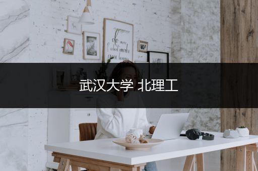 武汉大学 北理工