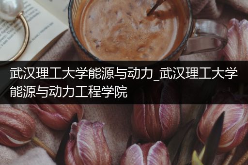 武汉理工大学能源与动力_武汉理工大学能源与动力工程学院